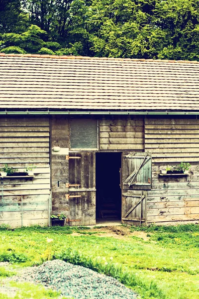 Bull on the farm in the stall. Brown cow in cowshed trough in barn stall at a cattle in agriculture livestock farm or ranch, Cow's head behind a wooden fence in the paddock