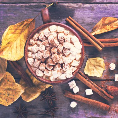 Sıcak kakao marshmallows eski ahşap kurullarında baharatlar ile birlikte. Kahve, kakao, tarçın, fındık, yıldız anason, rahat bluzunu