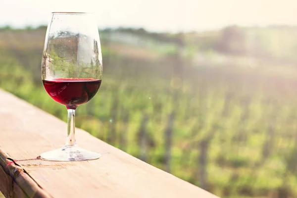 Gözlük Şarap Kırmızı Üzüm Şarap Tadımı — Stok fotoğraf