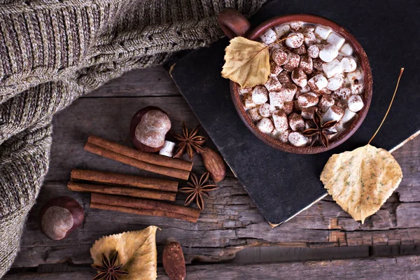 Horké Kakao Marshmallows Kořením Staré Prkna Káva Kakao Skořici Ořechy — Stock fotografie