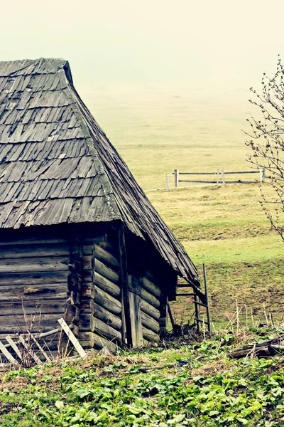 Gözlük şarap ile. Kırmızı, pembe, beyaz gözlük şarap. kırmızı, beyaz ve gül şarap tatma şarap üzüm bağı ile gözlük dizi.