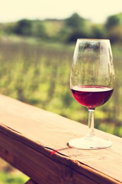 Gözlük şarap kırmızı. Üzüm şarap tadımı.