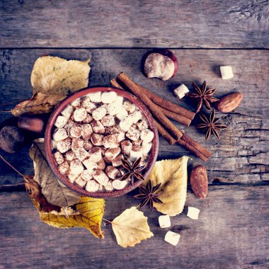 Sıcak kakao marshmallows eski ahşap kurullarında baharatlar ile birlikte. Kahve, kakao, tarçın, fındık, yıldız anason, rahat bluzunu