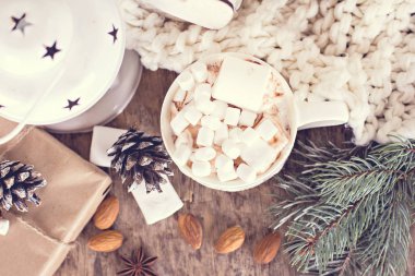 hediye, köknar dalı, fındık, koniler, kakao, kahve, sıcak örme battaniye. Kış, yeni yıl, yılbaşı natürmort