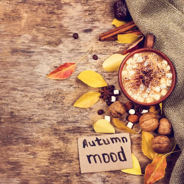 Heißer Kakao Mit Marshmallows Mit Gewürzen Auf Den Alten Holzbrettern — Stockfoto