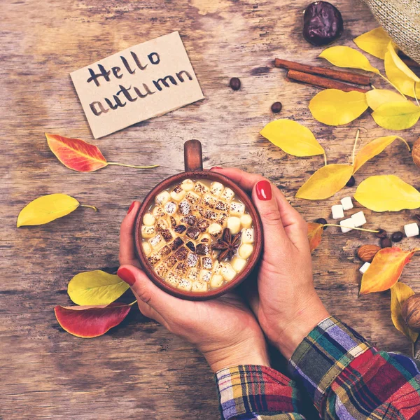 Heißer Kakao Mit Marshmallows Mit Gewürzen Auf Den Alten Holzbrettern — Stockfoto