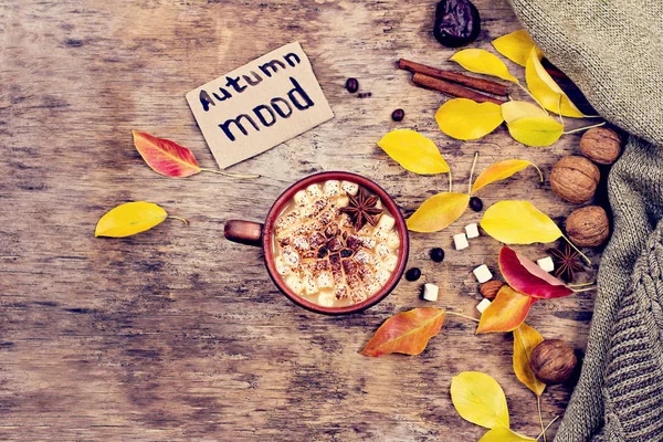 Cacau Quente Com Marshmallows Com Especiarias Nas Velhas Tábuas Madeira — Fotografia de Stock