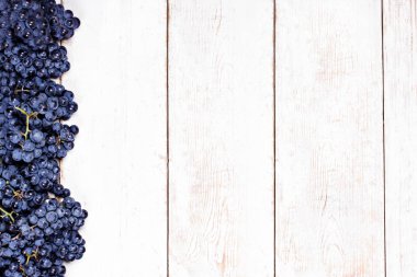 Beyaz tahtalarda mavi üzümler. Üzümlü arka plan, Top view, yakın plan. Metnin için yer.