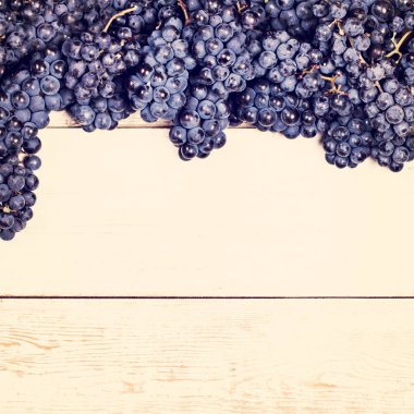Beyaz tahtalarda mavi üzümler. Üzümlü arka plan, Top view, yakın plan. Metnin için yer.
