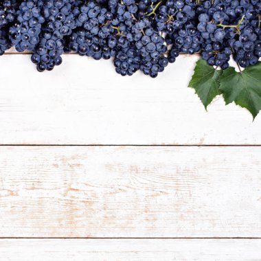 Beyaz tahtalarda mavi üzümler. Üzümlü arka plan, Top view, yakın plan. Metnin için yer.