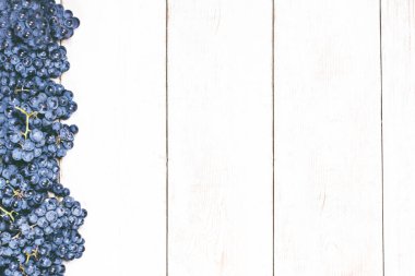 Beyaz tahtalarda mavi üzümler. Üzümlü arka plan, Top view, yakın plan. Metnin için yer.