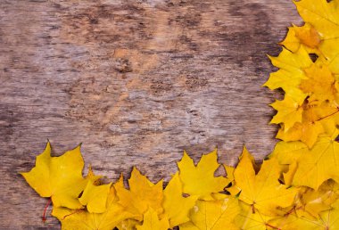 Ahşap arka planda kırmızı sonbahar yaprakları. Sonbahar yapraklarının çerçevesi. Sonbahar kırmızı yapraklı desenli, eski, ahşap bir arka plan..