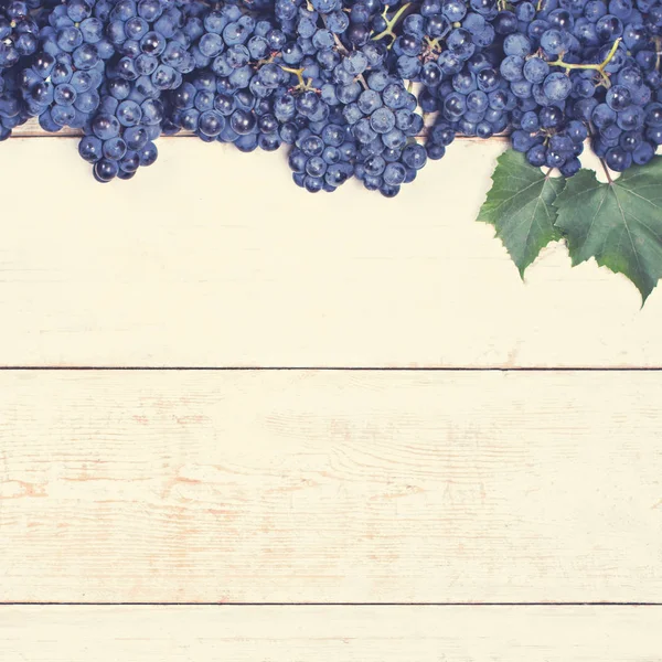 Beyaz tahtalarda mavi üzümler. Üzümlü arka plan, Top view, yakın plan. Metnin için yer.