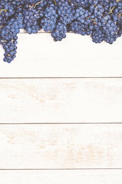 Beyaz tahtalarda mavi üzümler. Üzümlü arka plan, Top view, yakın plan. Metnin için yer.