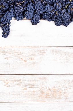 Beyaz tahtalarda mavi üzümler. Üzümlü arka plan, Top view, yakın plan. Metnin için yer.