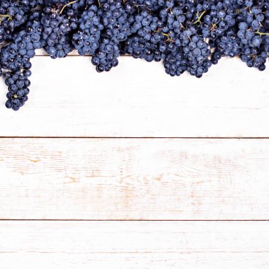 Beyaz tahtalarda mavi üzümler. Üzümlü arka plan, Top view, yakın plan. Metnin için yer.