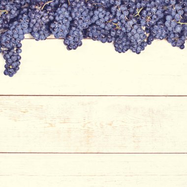 Beyaz tahtalarda mavi üzümler. Üzümlü arka plan, Top view, yakın plan. Metnin için yer.