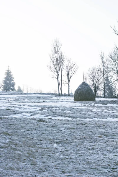 Winterberglandschaft Berge Schnee Der Erste Schnee Den Bergen Dämmerung Auf — Stockfoto