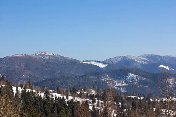 Kış dağ manzarası. Kar dağlarda. İlk kar dağlarda. Karpat Dağları'nda ilk buz kaplı dağ çayır üzerinde Alacakaranlık.