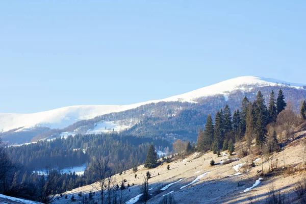 Winter Berglandschap Bergen Sneeuw Eerste Sneeuw Bergen Twilight Berg Weide — Stockfoto