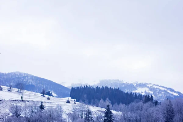 Winter Berglandschap Bergen Sneeuw Eerste Sneeuw Bergen Twilight Berg Weide — Stockfoto