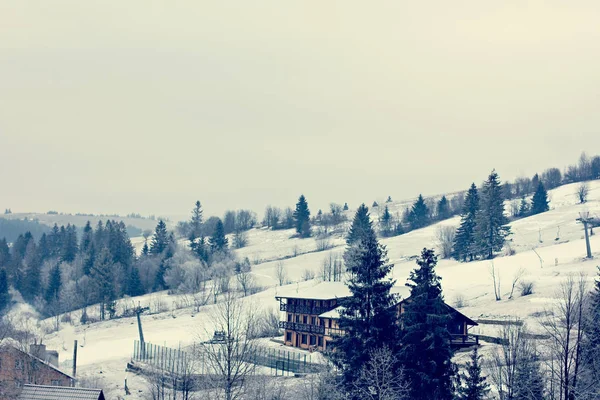 Winterberglandschaft Berge Schnee Der Erste Schnee Den Bergen Dämmerung Auf — Stockfoto