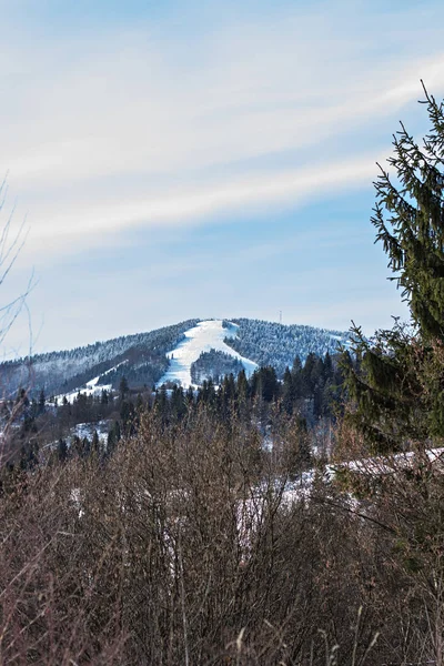 冬の山の風景 雪の山 山に初雪 カルパティア山脈の最初の霜で覆われている山の牧草地のミステリー — ストック写真