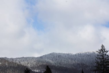 Kış dağ manzarası. Kar dağlarda. İlk kar dağlarda. Karpat Dağları'nda ilk buz kaplı dağ çayır üzerinde Alacakaranlık.