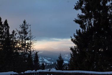 Kış dağ manzarası. Kar dağlarda. İlk kar dağlarda. Karpat Dağları'nda ilk buz kaplı dağ çayır üzerinde Alacakaranlık.