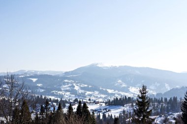 Kış dağ manzarası. Kar dağlarda. İlk kar dağlarda. Karpat Dağları'nda ilk buz kaplı dağ çayır üzerinde Alacakaranlık.