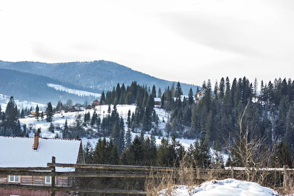 Winter Berglandschap Bergen Sneeuw Eerste Sneeuw Bergen Twilight Berg Weide — Stockfoto