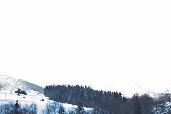 冬の山の風景 雪の山 山に初雪 カルパティア山脈の最初の霜で覆われている山の牧草地のミステリー — ストック写真