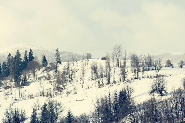 冬の山の風景 雪の山 山に初雪 カルパティア山脈の最初の霜で覆われている山の牧草地のミステリー — ストック写真