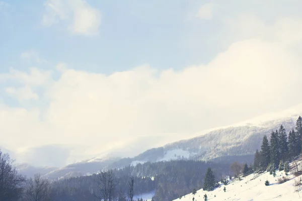 冬の山の風景 雪の山 山に初雪 カルパティア山脈の最初の霜で覆われている山の牧草地のミステリー — ストック写真