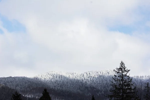 Winter Berglandschap Bergen Sneeuw Eerste Sneeuw Bergen Twilight Berg Weide — Stockfoto