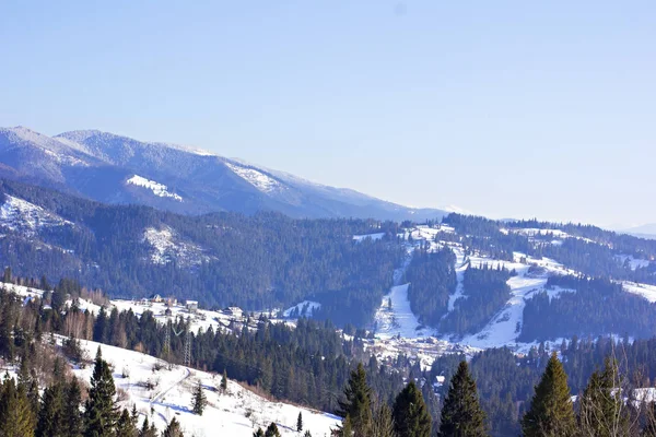 Kış dağ manzarası. Kar dağlarda. İlk kar dağlarda. Karpat Dağları'nda ilk buz kaplı dağ çayır üzerinde Alacakaranlık.