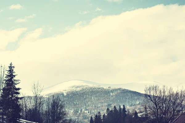 Winter Berglandschap Bergen Sneeuw Eerste Sneeuw Bergen Twilight Berg Weide — Stockfoto