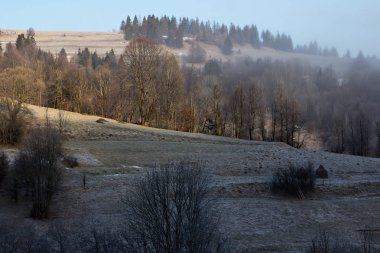 Kış dağ manzarası. Kar dağlarda. İlk kar dağlarda. Karpat Dağları'nda ilk buz kaplı dağ çayır üzerinde Alacakaranlık.