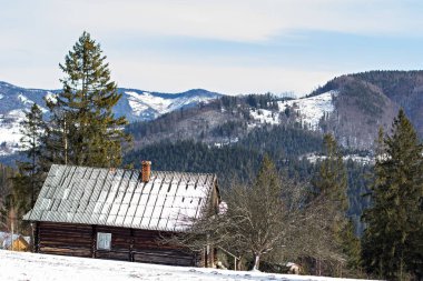 Kış dağ manzarası. Kar dağlarda. İlk kar dağlarda. Karpat Dağları'nda ilk buz kaplı dağ çayır üzerinde Alacakaranlık.