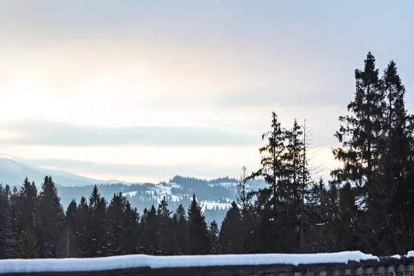 Winter Berglandschap Bergen Sneeuw Eerste Sneeuw Bergen Twilight Berg Weide — Stockfoto