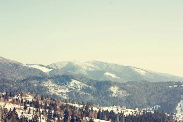 Winter Berglandschap Bergen Sneeuw Eerste Sneeuw Bergen Twilight Berg Weide — Stockfoto