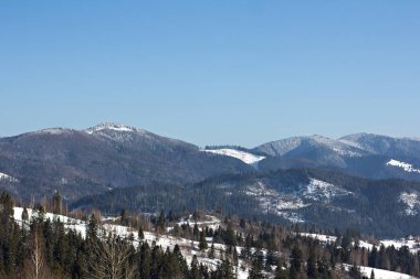 Kış dağ manzarası. Kar dağlarda. İlk kar dağlarda. Karpat Dağları'nda ilk buz kaplı dağ çayır üzerinde Alacakaranlık.