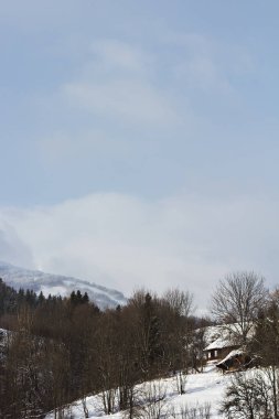 Kış dağ manzarası. Kar dağlarda. İlk kar dağlarda. Karpat Dağları'nda ilk buz kaplı dağ çayır üzerinde Alacakaranlık.