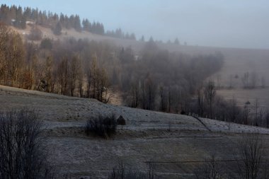 Kış dağ manzarası. Kar dağlarda. İlk kar dağlarda. Karpat Dağları'nda ilk buz kaplı dağ çayır üzerinde Alacakaranlık.