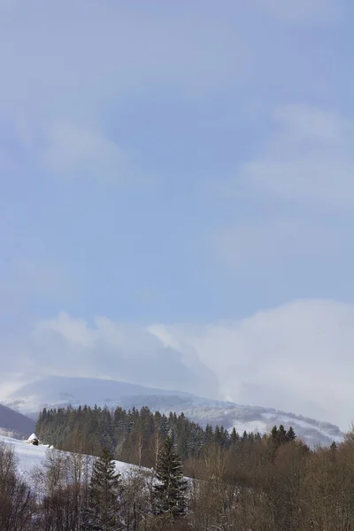 冬の山の風景 雪の山 山に初雪 カルパティア山脈の最初の霜で覆われている山の牧草地のミステリー — ストック写真