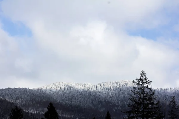 Winter Berglandschap Bergen Sneeuw Eerste Sneeuw Bergen Twilight Berg Weide — Stockfoto