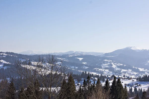 Winter Berglandschap Bergen Sneeuw Eerste Sneeuw Bergen Twilight Berg Weide — Stockfoto