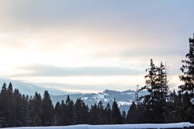 Kış dağ manzarası. Kar dağlarda. İlk kar dağlarda. Karpat Dağları'nda ilk buz kaplı dağ çayır üzerinde Alacakaranlık.