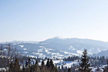 Kış dağ manzarası. Kar dağlarda. İlk kar dağlarda. Karpat Dağları'nda ilk buz kaplı dağ çayır üzerinde Alacakaranlık.