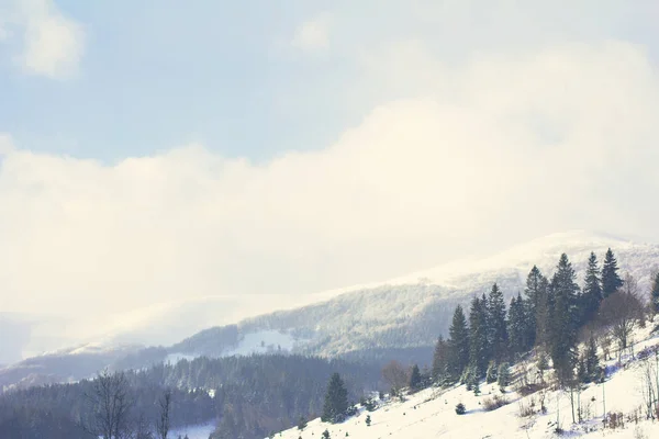 Winterberglandschaft Berge Schnee Der Erste Schnee Den Bergen Dämmerung Auf — Stockfoto